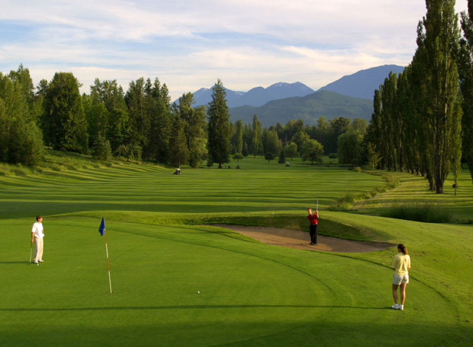 Go Golfing